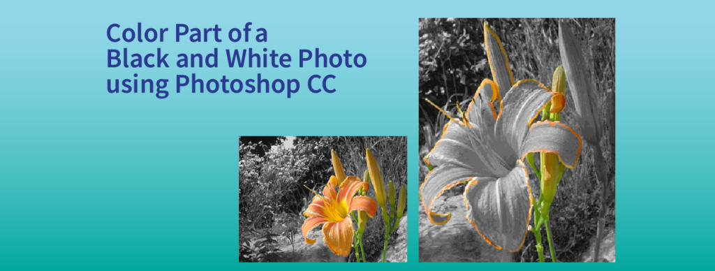 color photo with photoshop