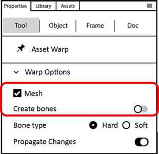 Asset Warp Tool options